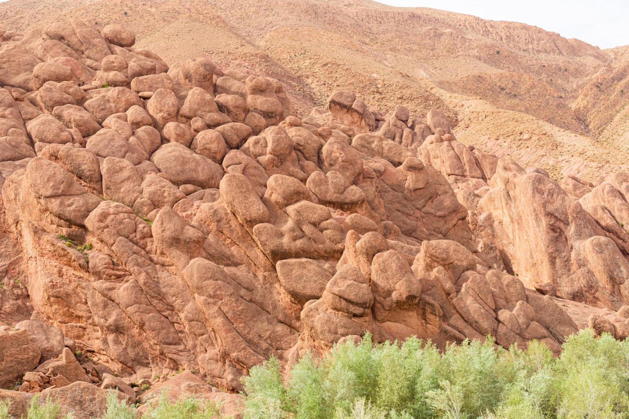 مبيت وإفطار بو درارار Gite D'Etape Tamaloute المظهر الخارجي الصورة